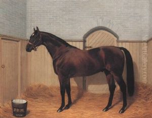 The Stallion "royal Hampton" by Emil Adam