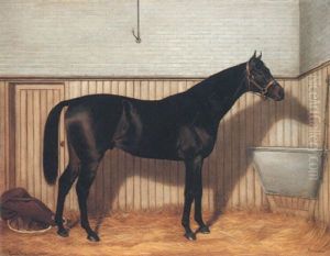 "common," A Brown Racehorse In A Stable