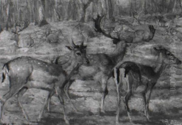 Hirschrudel Auf Einer Waldlichtung - view 1