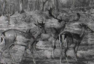 Hirschrudel Auf Einer Waldlichtung
