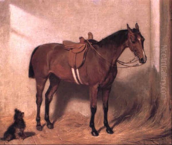 Lady's Bay Hunter In A Stable Interior - view 1