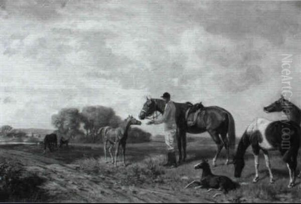 The Foal - view 1