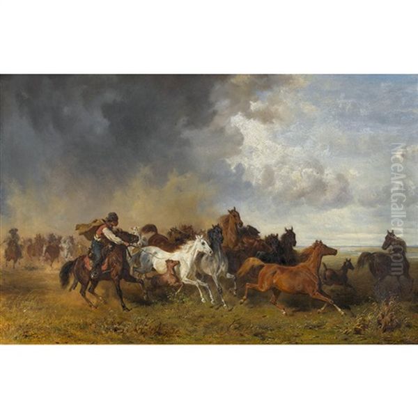 Reiter Mit Pferdeherde In Der Puszta - view 1