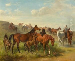 Pferde Auf Der Weide Pferde Auf Der Weide