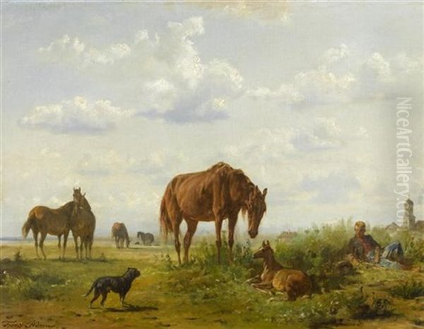 Pferde Auf Der Weide - view 1