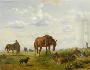 Pferde Auf Der Weide Pferde Auf Der Weide