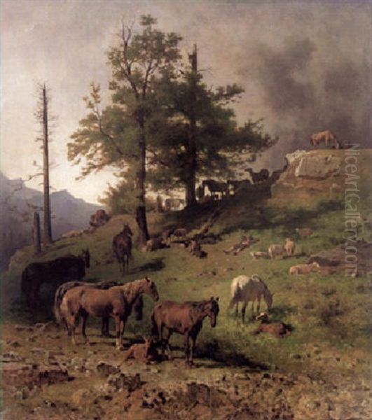 Pferde Auf Einer Hochalp Am Wiesenhang - view 1