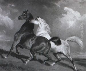 Zwei Pferde Auf Der Weide by Franz Adam