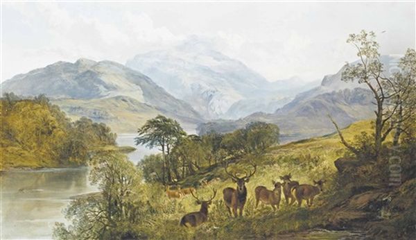Scottish Highlands - view 1