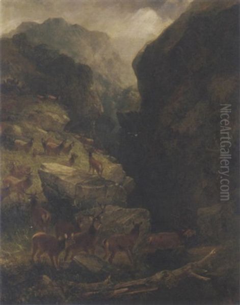 Deer In A Highland Landscape - view 1
