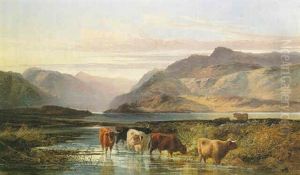 Highland Cattle Watering