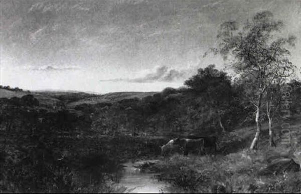 Weidelandschaft - view 1