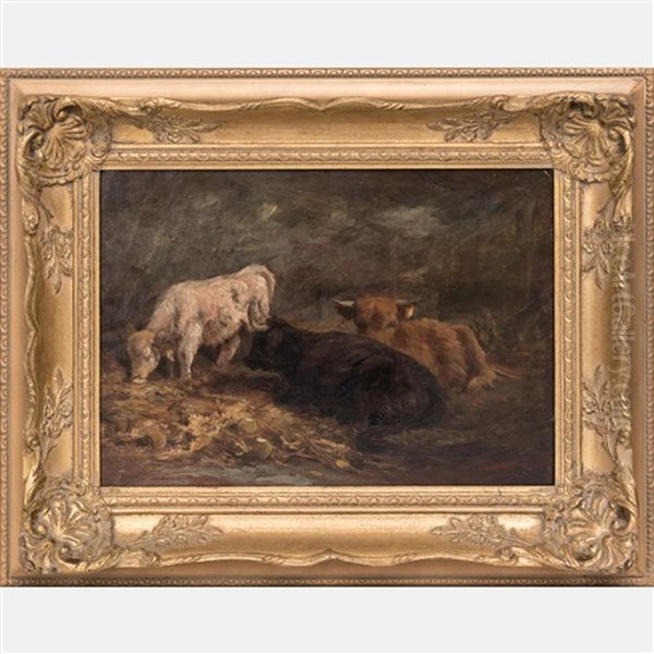 Resting Cattle - view 1