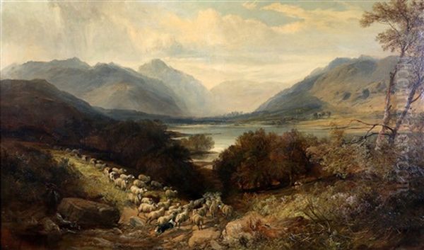 Scottish Landscape With A Flock Of Sheep Near A Lake - view 1