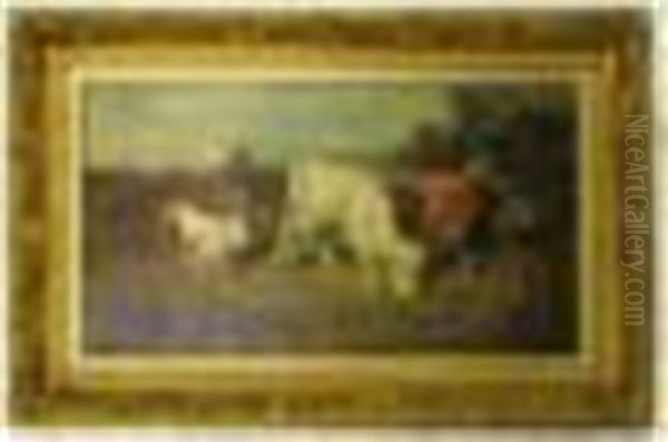 Highland Cattle With Woman Herding A White Calf - view 1