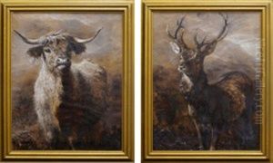 A Pair Of Studies Of A Highland Cow And Deer Stag A Pair Of Studies Of A Highland Cow And Deer Stag
