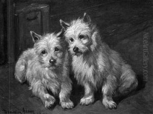 Confidences