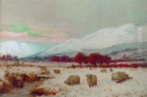 Sheep In A Highland Winter Landscape - view 1