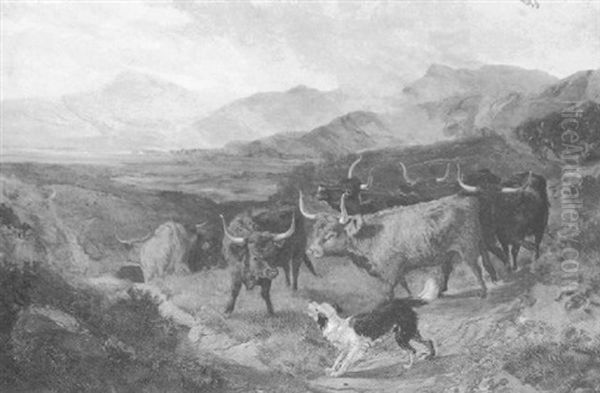 Cattle In A Glen - view 1