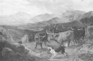 Cattle In A Glen by Joseph Denovan Adam