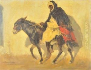 Marocain Sur Son Ane