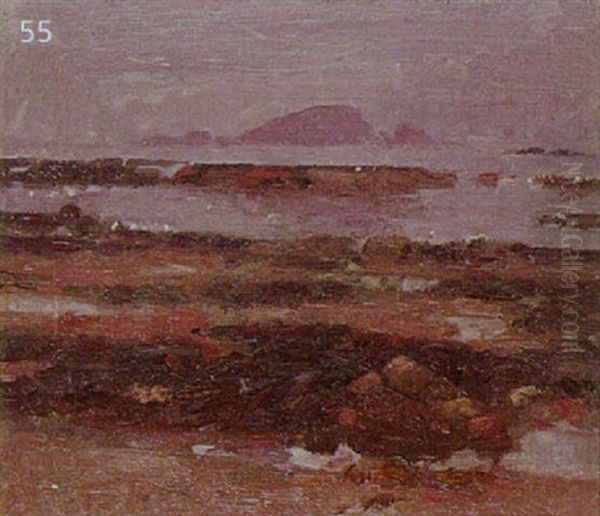 Coastal Scene - view 1