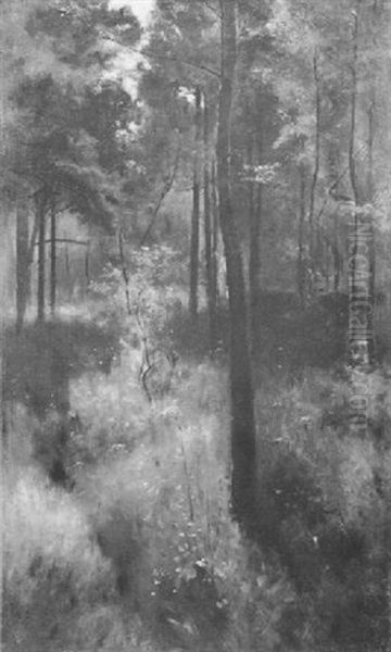 Woodland Glade - view 1