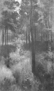 Woodland Glade by Patrick William Adam
