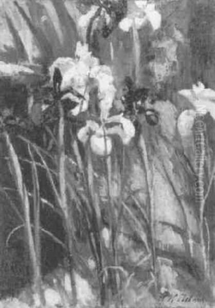 Irises Round Pool - view 1