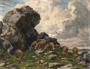 Schafe Am Felsen Schafe Am Felsen