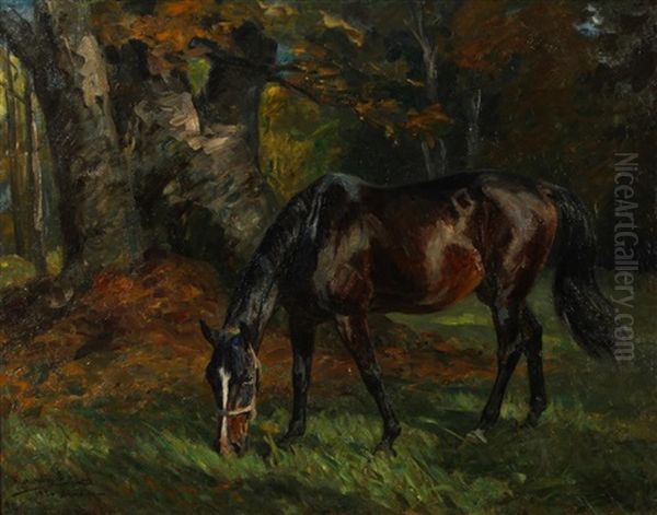 A Grazing Horse - view 1