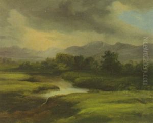 Voralpenlandschaft Mit Bach Und Buschwerk