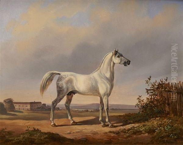 Cheval Gris - view 1