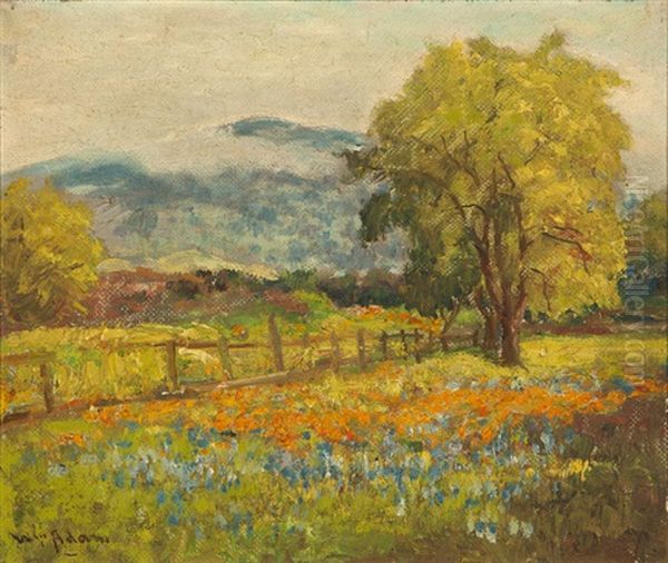 Poppies And Lupine, Santa Clara Valley - view 1