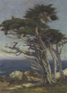 Cypress Group, 17 Mile Drive by William C. Adam