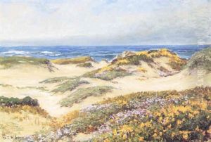 Spring Dunes, Pacific Grove