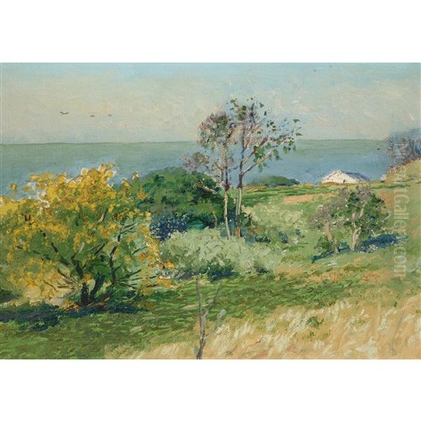 Coastal - view 1