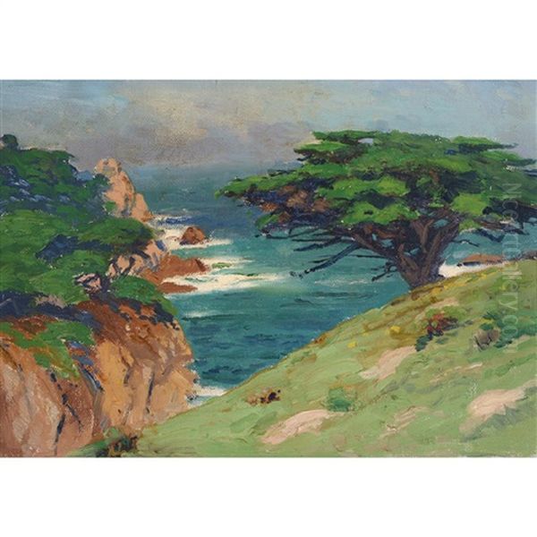 Cypress - view 1