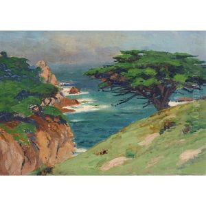 Cypress