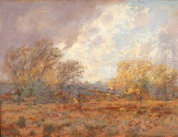 Prarie Landscape - view 1