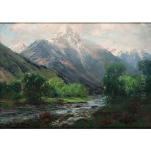 Morning In Spring