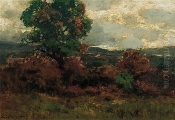 Landscape - view 1