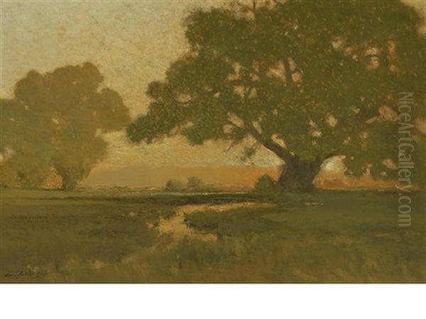Summer Sun At The Horizon - view 1
