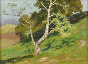 Mt. Taylor From Bartholf Park (estes Park); Haystacks; Tree On Mountainside (3 Works) by Charles Partridge Adams