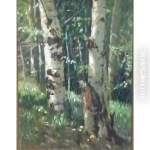 Birch Trees