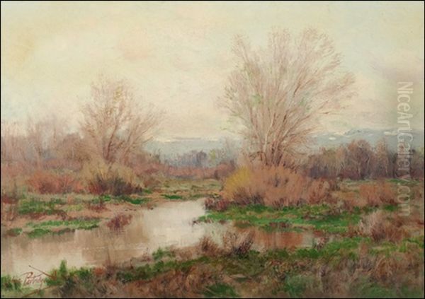 Colorado Landscape - view 1