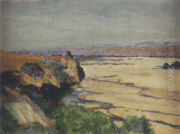 Riverbed In Drought - view 1