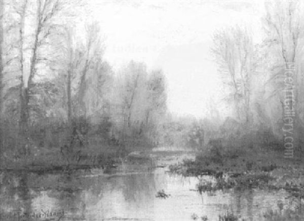 Autumn Swamp - view 1