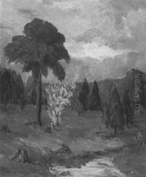 Landscape - view 1