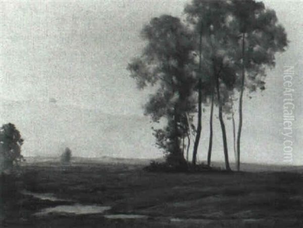 Morning Mist - view 1